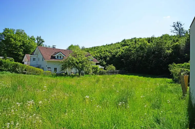 Idyllisches Baugrundstück mit Ganztagssonne am Waldrand – Ruhelage nur 5 km von Wien!