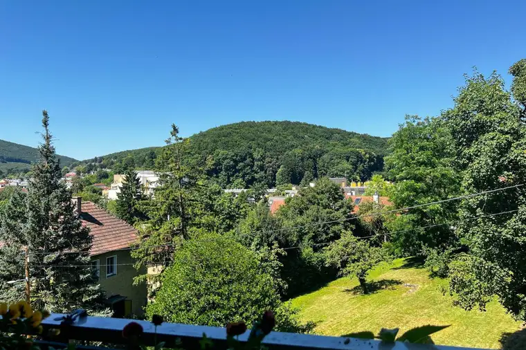 Sonnige 3-Zimmer mit Loggia, Schwimmhalle und Sauna in Purkersdorfer Zentrumslage