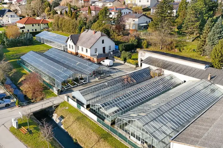 Gärtnerei nahe Tulln &amp; Wien: Betriebsimmobilie mit Glashäusern, Außenflächen, Lagerhalle und Wohnhaus
