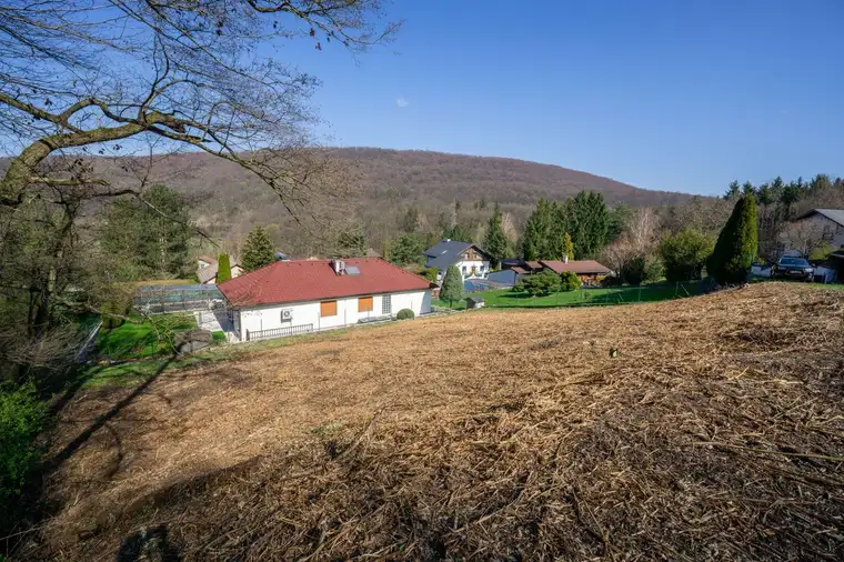 Baugrund am Ende der Sackgasse – Natur &amp; perfekte Nähe zu Wien!