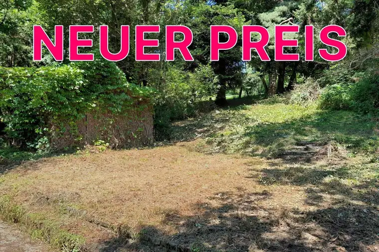 Großzügiges Baugrundstück mit Abbruchhaus und Grünlandanteil Nähe Purkersdorf