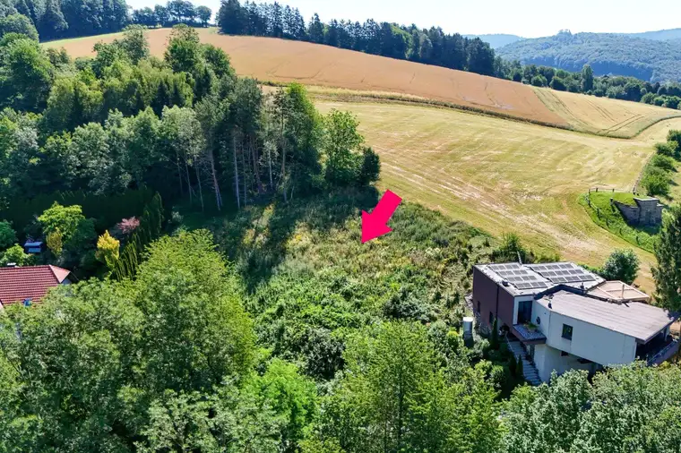 Seltene Gelegenheit: Großzügiges Baugrundstück in begehrter Grünlage unweit Ortskern