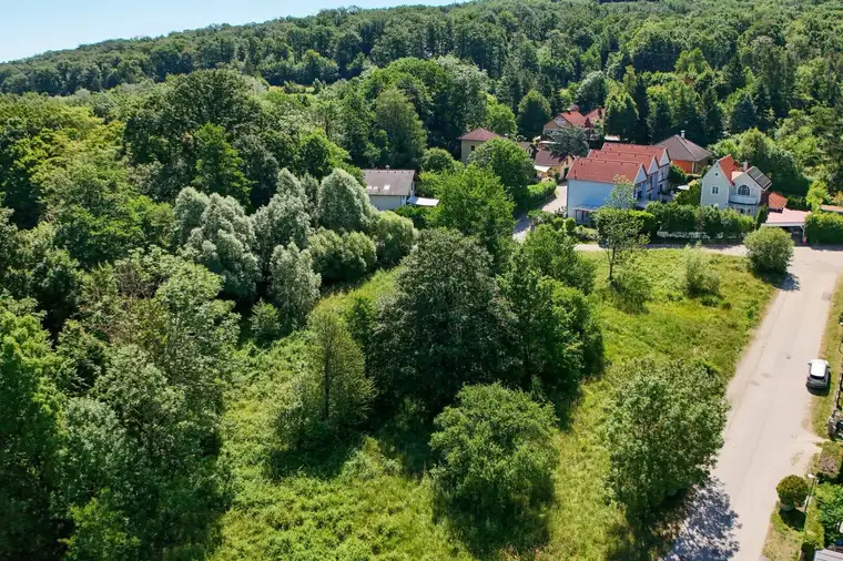 Wohnen, wo der Wienerwald beginnt – sonniger Baugrund in Purkersdorf-Baunzen