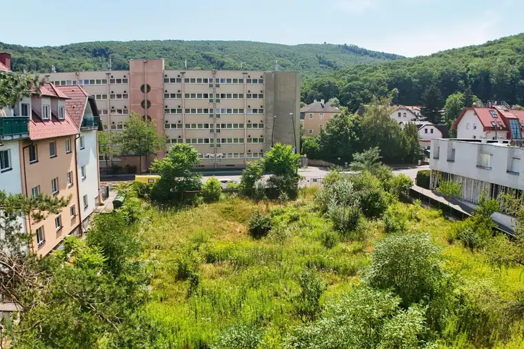 Bauträger-Grundstücke in Purkersdorfer Bestlage | Wiener Stadtgrenze | VOR Kernzone
