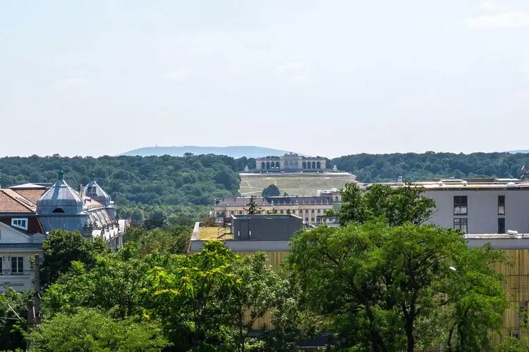 Luxusapartment mit Blick auf die Gloriette – 252 m² Dachgeschoß mit Balkon und Terrasse