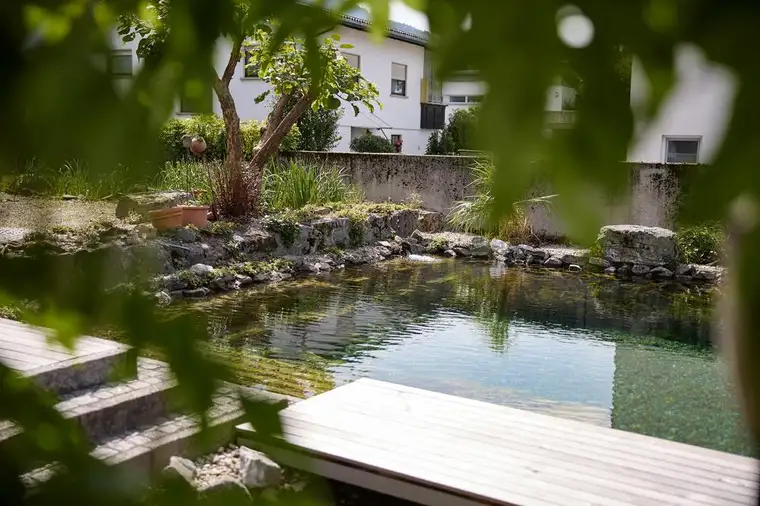 Stilvolles Zuhause in Altach mit Schwimmteich