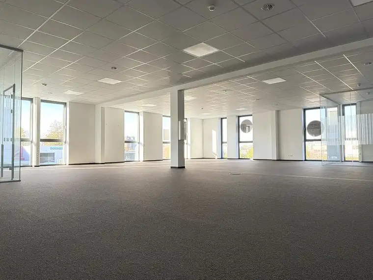 Für dein Business mit Zukunft in Wolfurt