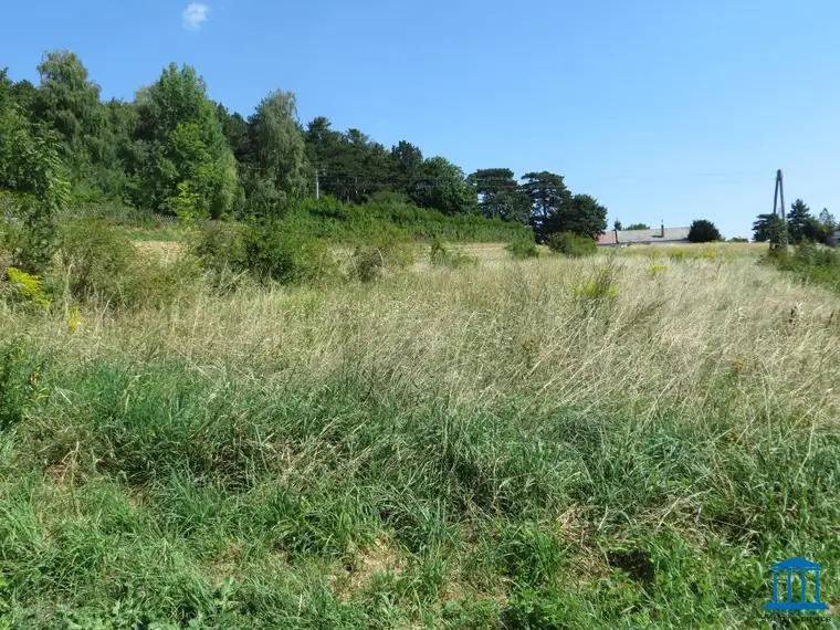 Baugrund in Oberhöflein an der Hohen Wand