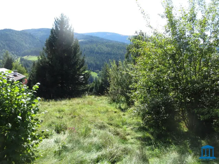 Baugrund am Semmering mit Ausblick