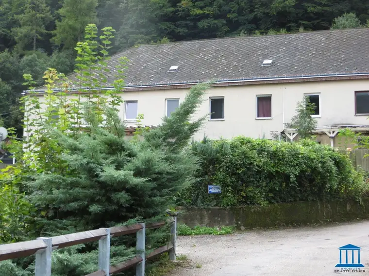 Eigentumswohnung in Waldegg