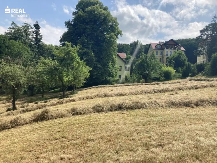 3040 Haag bei Neulengbach - Baugrundstück in ruhiger Lage