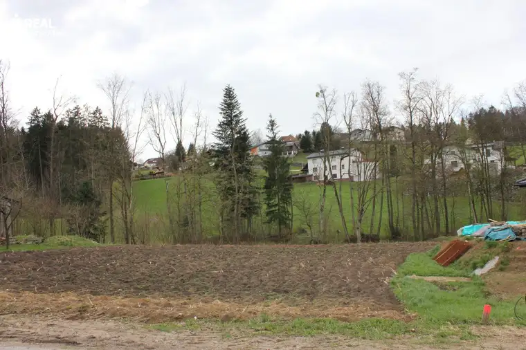 Baugrundstück in Neuhofen an der Ybbs