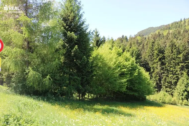 Aufgeschlossener Baugrund - ohne Bauzwang!