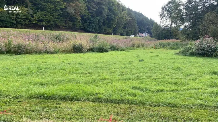 Schöner 800m² Baugrund, aufgeschlossen in Kirchschlag i.d.B.W - BK I oder BK II, 30% Bebaubarkeit!