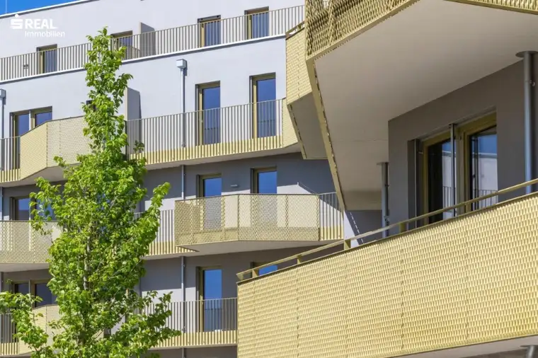 Mag. Alexander Kepka, s REAL Wien - Zentrale