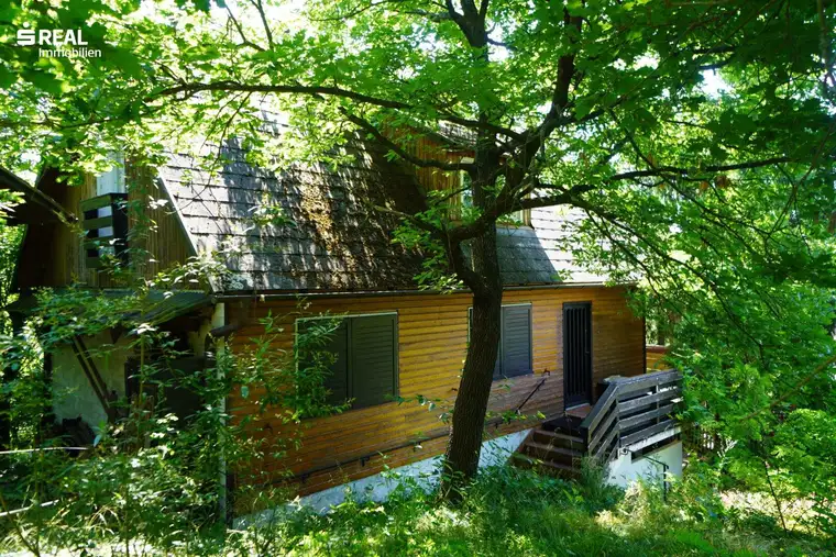 Idyllisches Haus mitten im Grünen mit Aussicht auf Burgruine