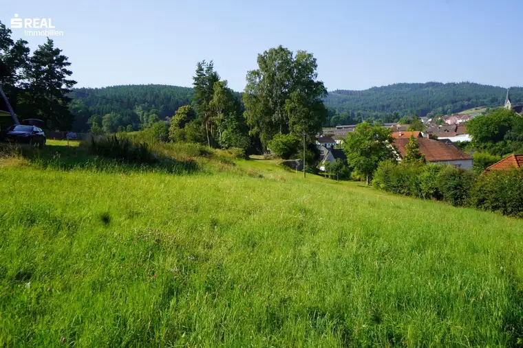 Traumhaftes Baugrundstück Nähe Weitra: 1.060 m² warten auf Sie