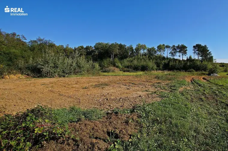 7503 Großpetersdorf - Top aktuelle Investition! Traumhafter Baugrund in ruhig gelegener Sackgasse