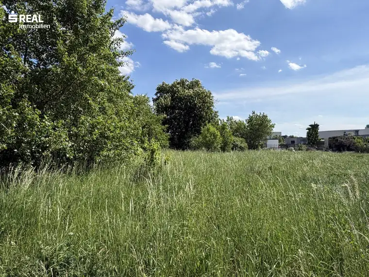 Baugrundstück 612m² in 7100 Neusiedl am See – Ihr Traumgrundstück im Burgenland!