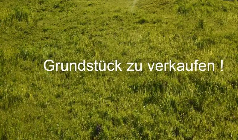 Großzügiges Grundstück in Traumlage