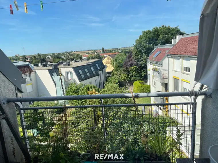 Sehr schöne Wohnung in begehrter Lage