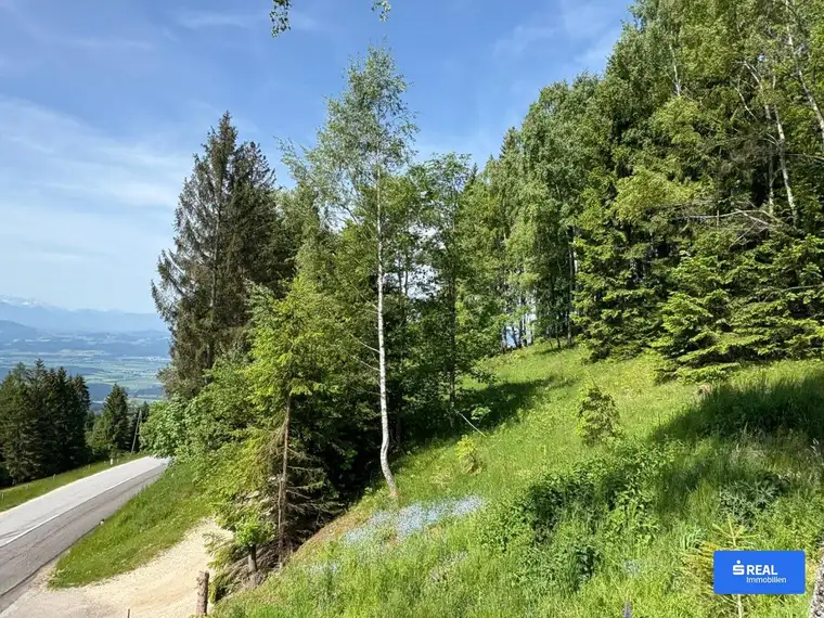 Herrliches Baugrundstück auf der Koralpe