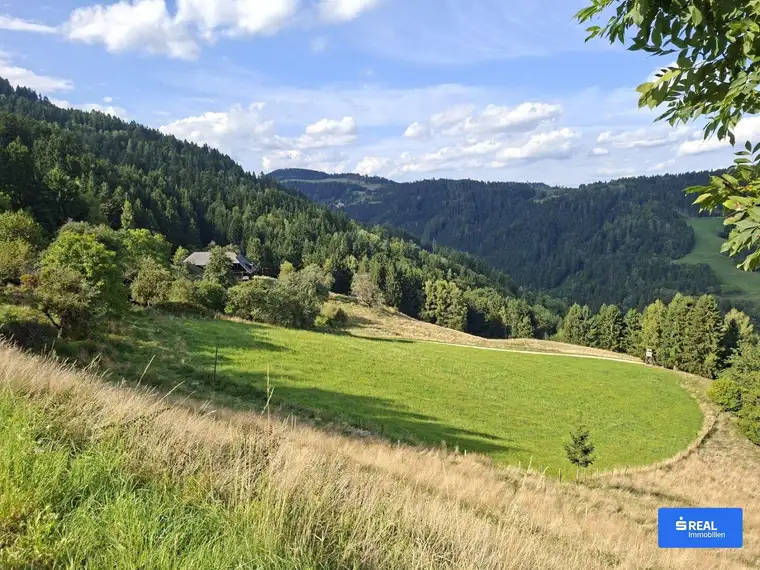 Traumhaft gelegene Landwirtschaft mit Hofstelle in Unterkärnten