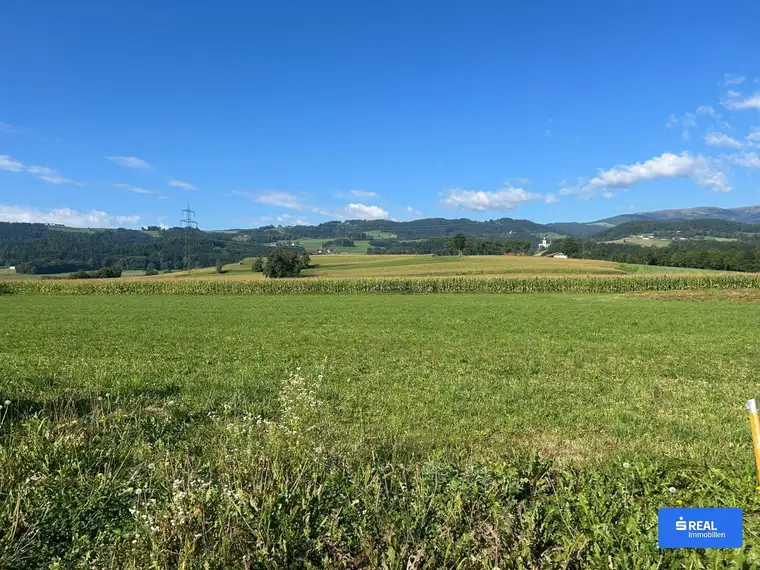 Ebener Acker/Wiese bei St. Marein zu verkaufen