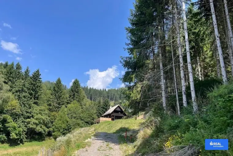 Ihr Rückzugsort in den Bergen "Almhaus Sonnblick" in Alleinlage Nähe Schi- und Erholungsgebiet Klippitztörl