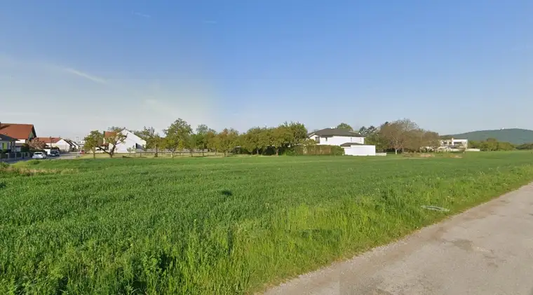 Johannes Bieber, Bieber Immobilien GmbH