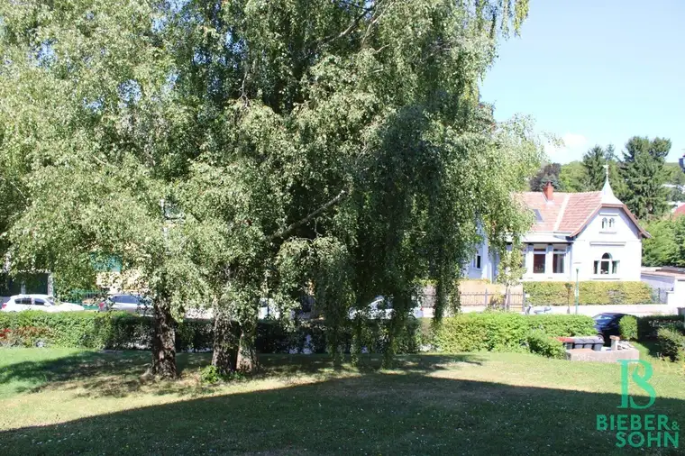 Johannes Bieber, Bieber Immobilien GmbH