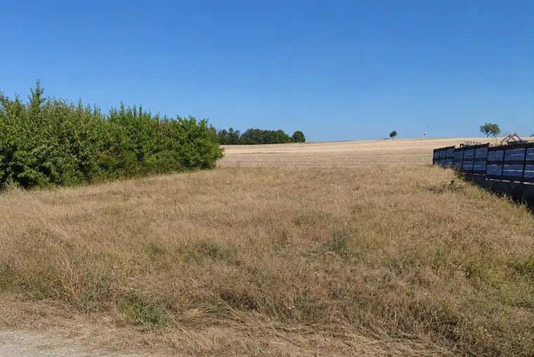 Traditionelles Weinviertel in hervorragender Nähe zu Wien