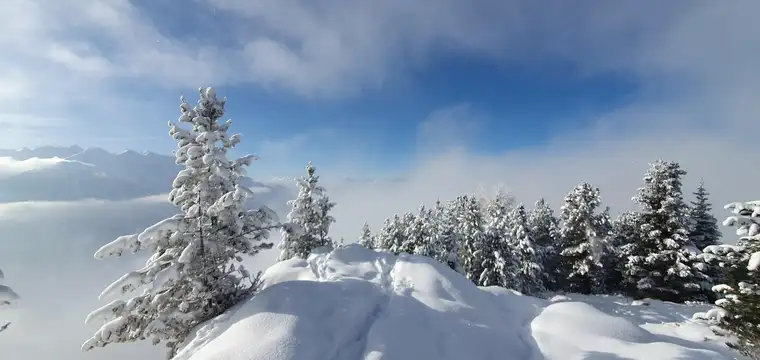 Baugrund in ruhiger Lage!