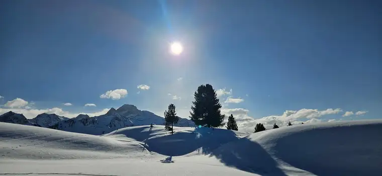 Baugrund in Zentrumsnähe.