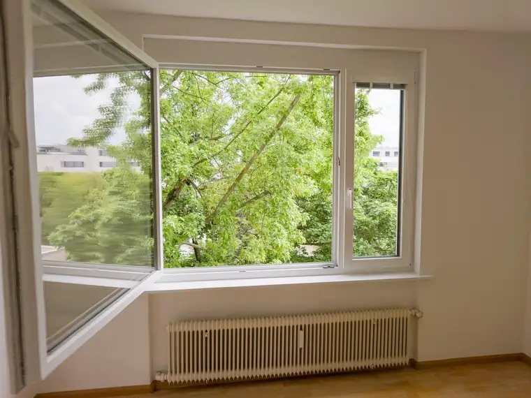 BADEN, frisch sanierte 3-Zimmer Wohnung mit Balkon und tollem Gemeinschaftsgarten in der Dammgasse 8, Baden