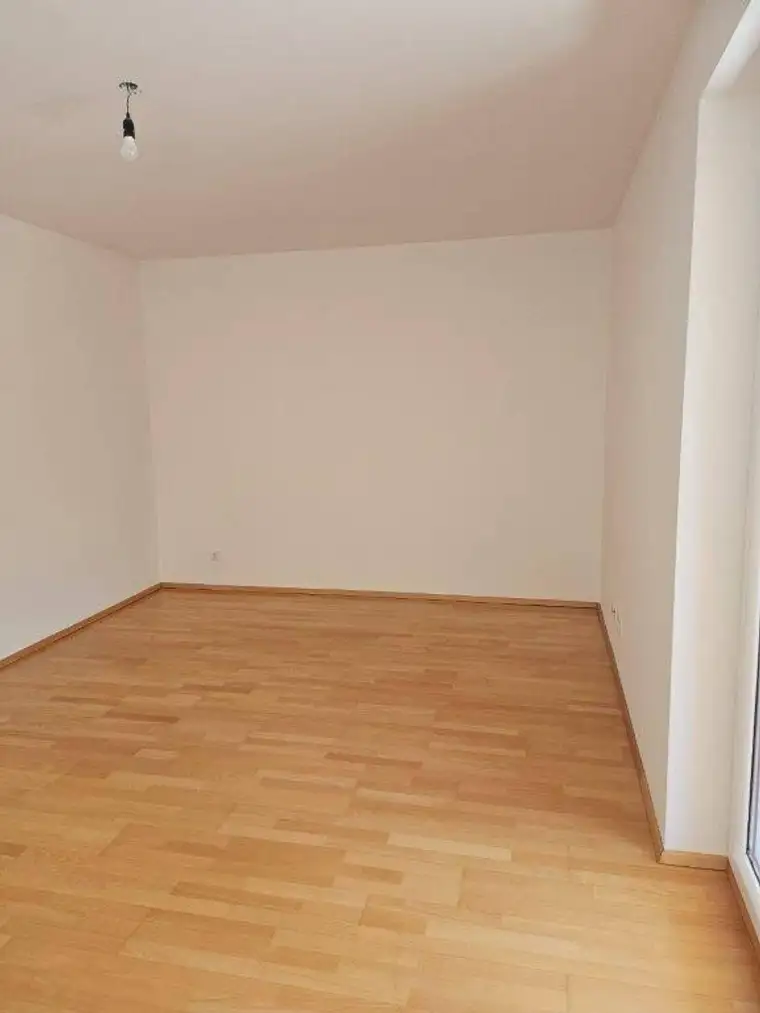 Föhrensiedlung 255