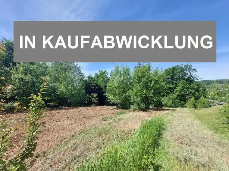 Großes Grundstück in schöner Aussichtslage - aufgeschlossen!