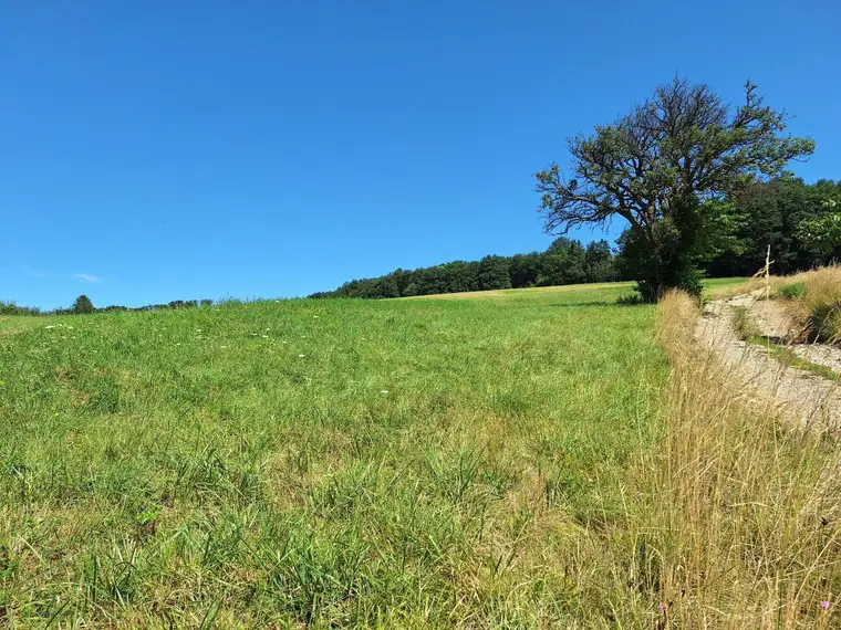 3,4 ha - aneinandergrenzende landwirtschaftliche Parzellen