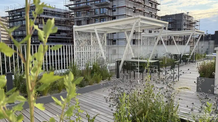 Rückzugsort über den Dächern – Erstbezug mit Loggia &amp; Gemeinschaftsterrasse | ZELLMANN IMMOBILIEN