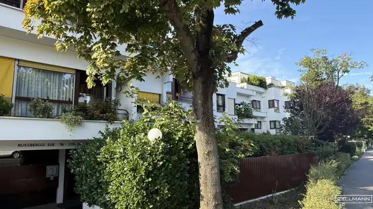 Licht, Raum &amp; Lifestyle – Ihr Zuhause direkt am Nussberg | ZELLMANN IMMOBILIEN