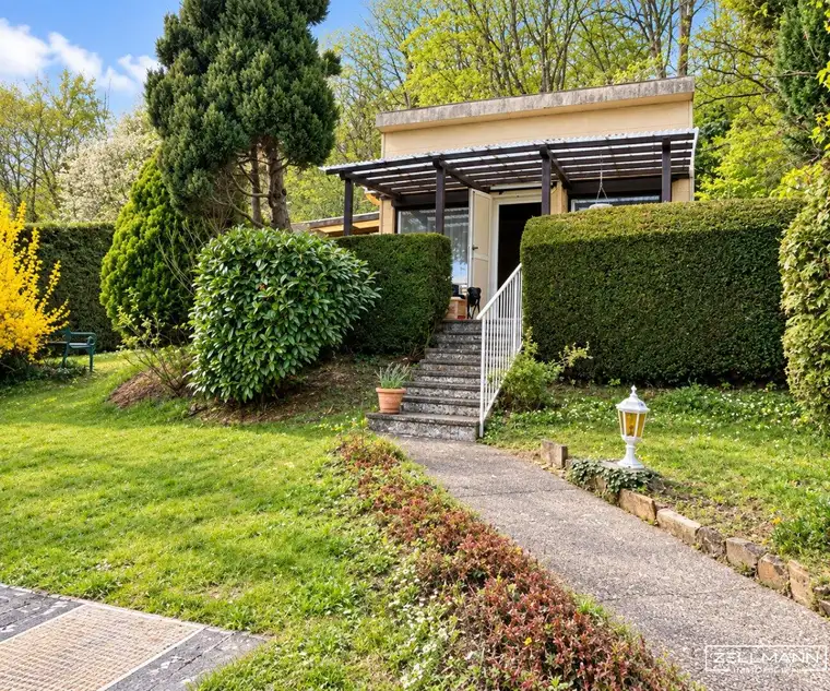RARITÄT MIT POTENZIAL – Eingewachsenes Grundstück mit Altbestand und Pool | ZELLMANN IMMOBILIEN