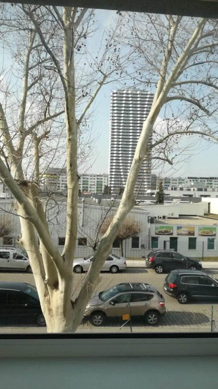 Vollrenoviertes Büro/Praxis in Wien - 92m² mit Parkplatz und U-Bahn-Nähe!