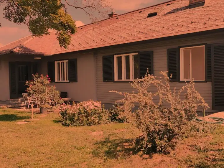 Sonnendurchfluteter , komplett renovierter Bungalow mit romantischem Garten in Strasshof