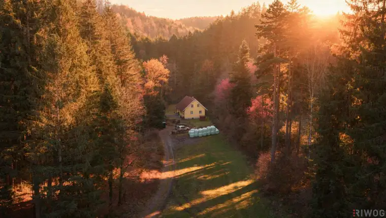 Charmantes Einfamilienhaus in absoluter Ruhelage | ca. 160 m² Nutzfläche | 859 m² Eigengrund | Bucklige Welt | 360°- Rundgang