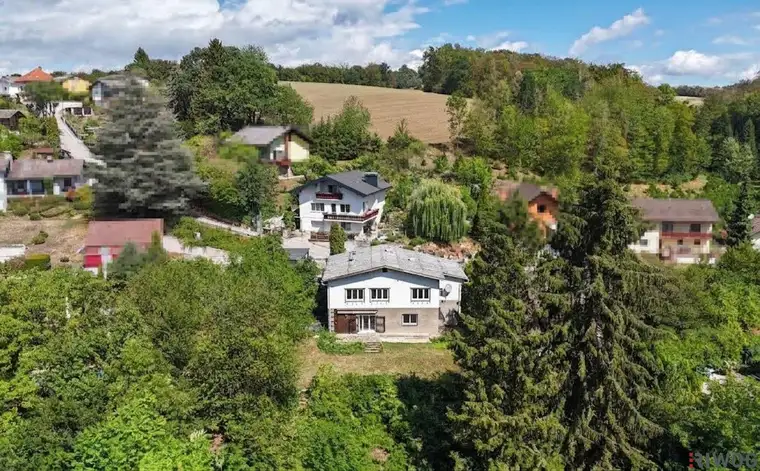 Rarität // Südhang // Bach // Biotop // absolute Ruhelage an der Waldgrenze