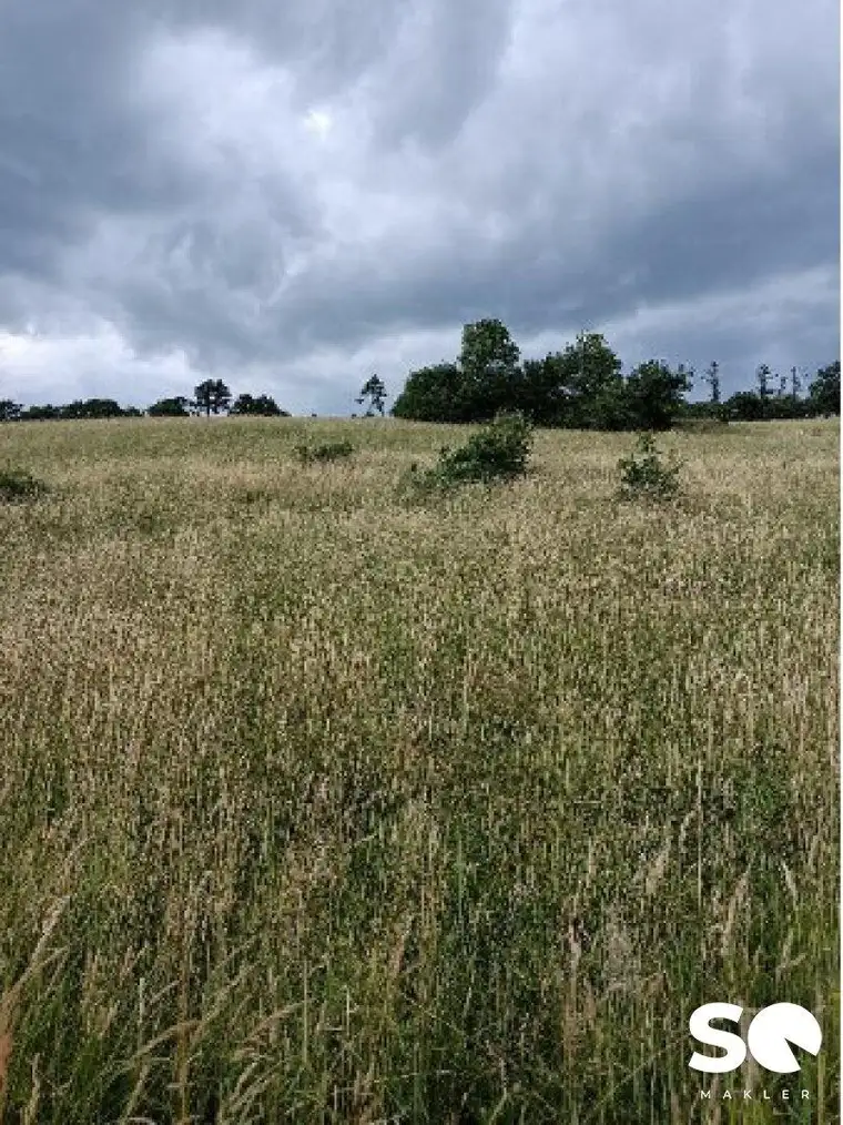 #SQ - € 225 pro m² - GRUNDSTÜCK MIT 2000m² BAULAND - BLICK IN HOCHEICHBERG BEI ALTLENGBACH