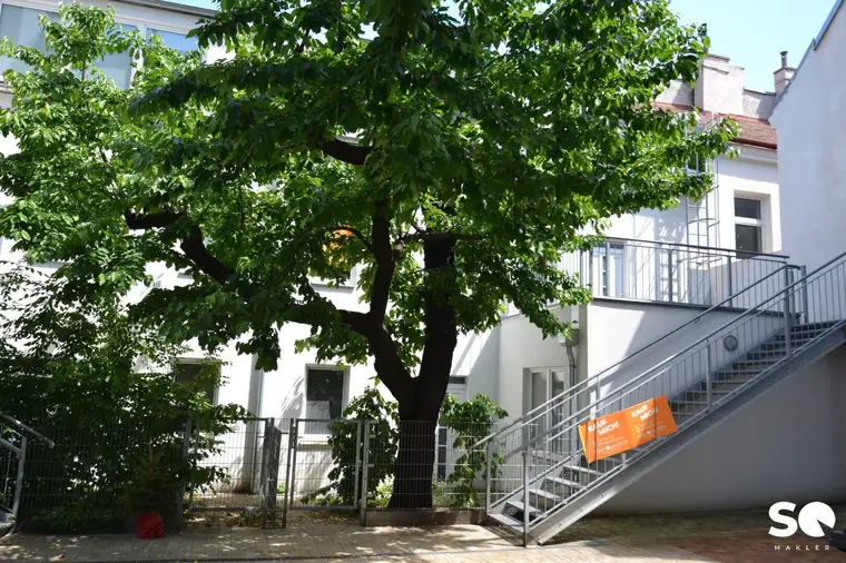 #SQ - SANIERUNGSBEDÜRFTIGE WOHNUNG MIT TERRASSE IN INNENHOFRUHELAGE!