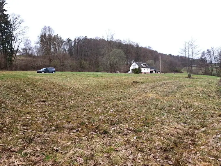 #SQ - VASOLDSBERG: 15337M² GRUNDSTÜCK MIT ALTBESTAND IN SONNIGER ALLEINLAGE NAHE GRAZ