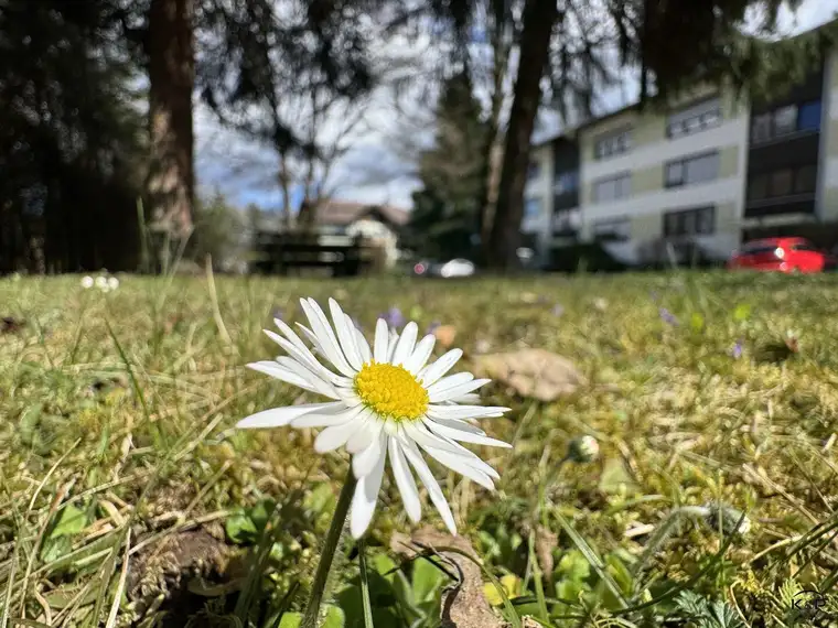 Einladenedes Wohnambiente auf ca. 71m² in unvergleichlicher Naturkulisse – Direkt gegenüber der Privatklinik Villach