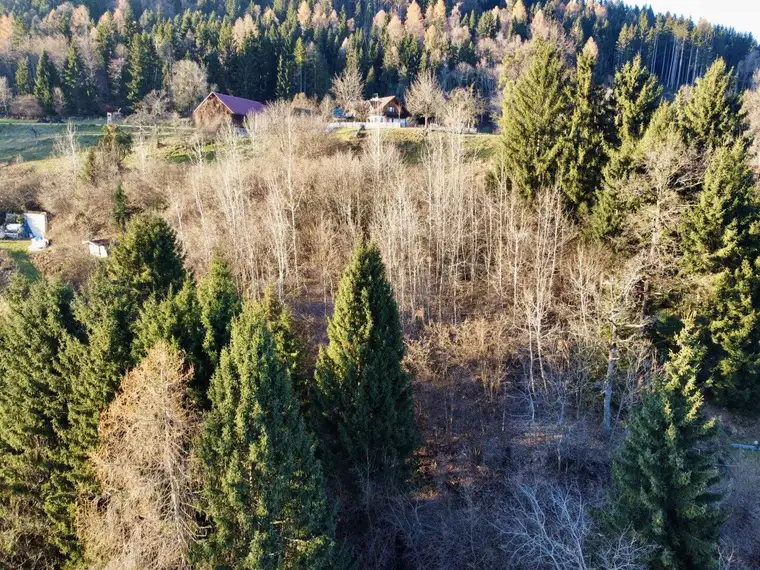 GRÜNLANDIDYLLE NUR MINUTEN VON VILLACH